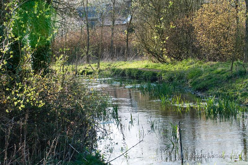 20090413_175226_D300.jpg - Sream, Upper Slaughter