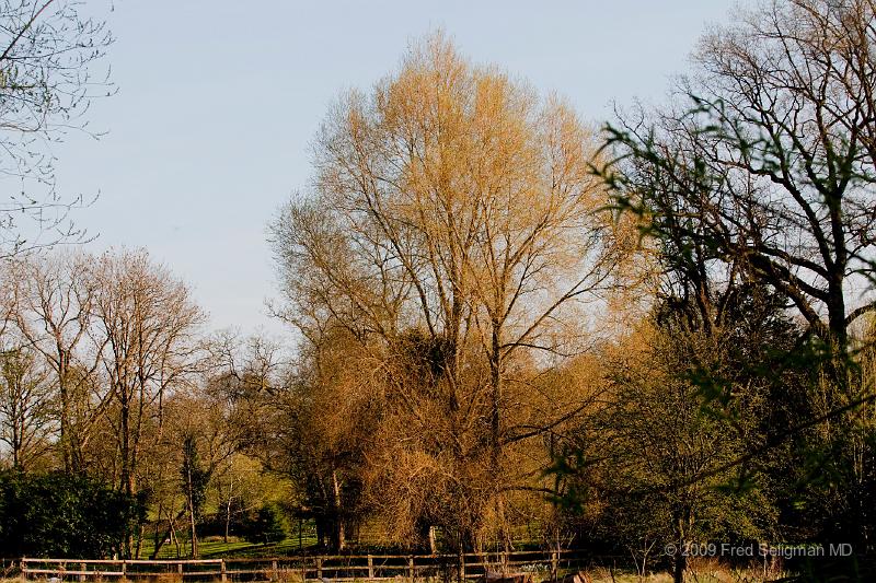 20090413_175809_D300.jpg - Upper Slaughter