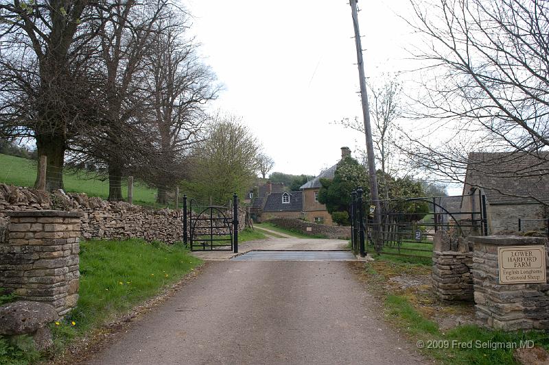 20090414_111115_D3.jpg - Lower Harford Sheep Farm near Naunton