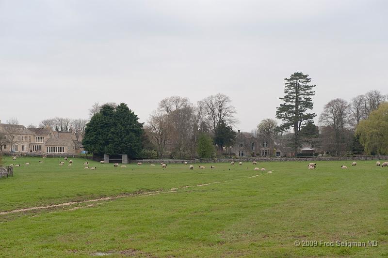 20090414_124232_D3.jpg - Farm near Coin St Denis