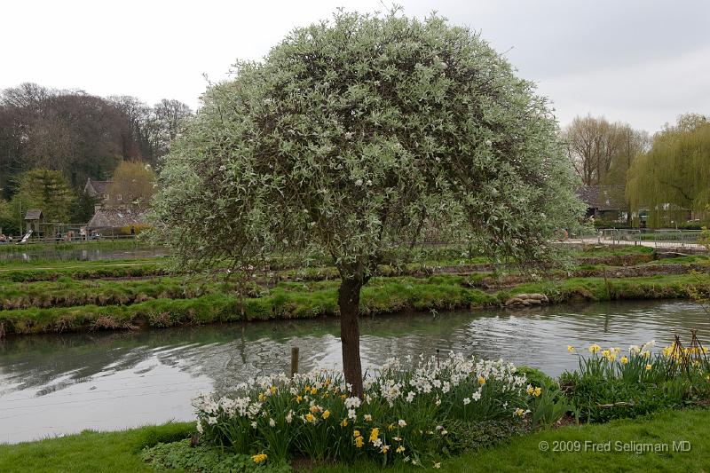 20090414_130254_D3.jpg - Bibury Trout Farm Farm