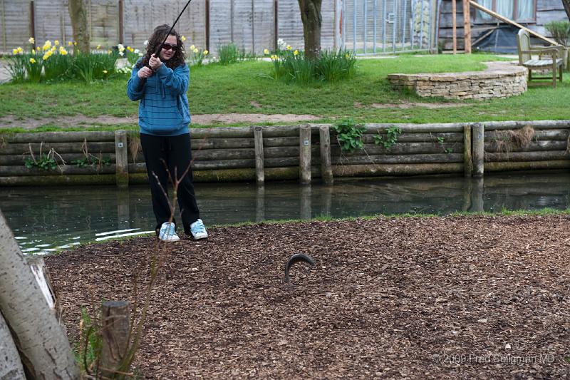 20090414_131248_D3.jpg - Catching a fish, Bibury Trout Farm