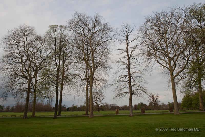 20090414_170800_D3.jpg - Blenheim Castle, Woodstock