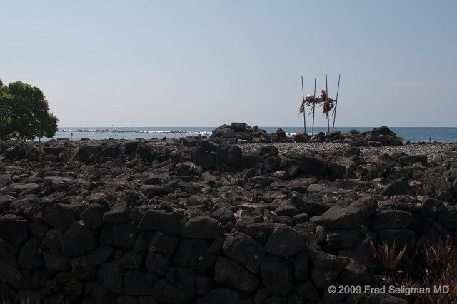 20091102_121856D300.jpg - Ku 'emanu Heiau, a temple associated solely with surfing.  Chiefs came here to pray for snarly conditions.  Incidentally caught surfing were put to death.  Still used today to pay homage to the spirits, Kona, Hawaii