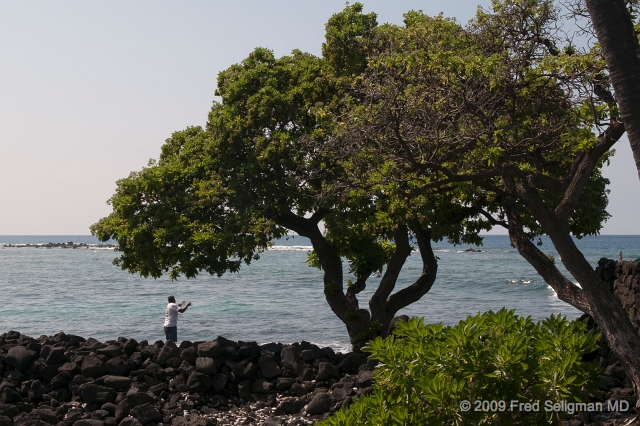 20091102_122021D300.jpg - Seaascape, Kona, Hawaii