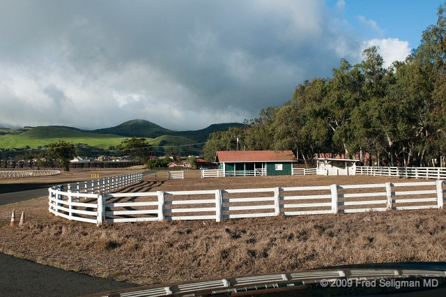 20091104_163125D300.jpg - Parker Ranch, Waimea